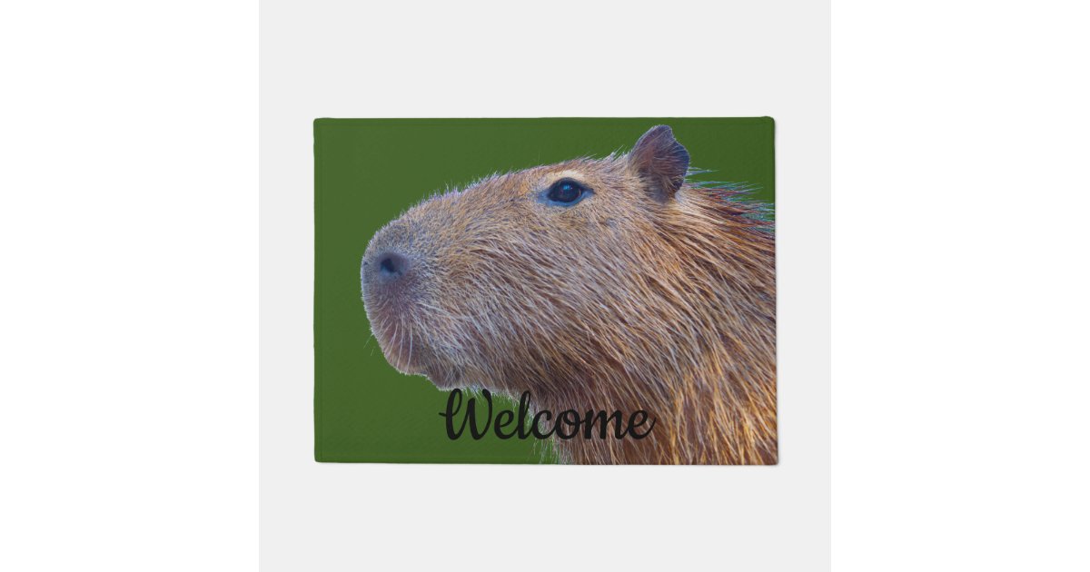 Capybara Doormat | Zazzle