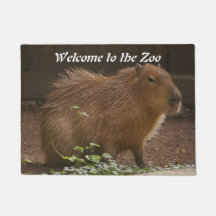 Capybara