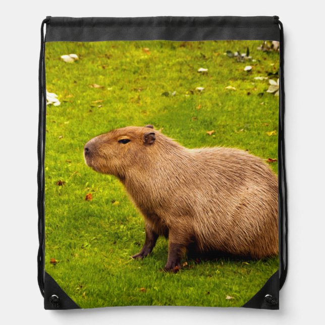 Capybara Drawstring Bag (Front)