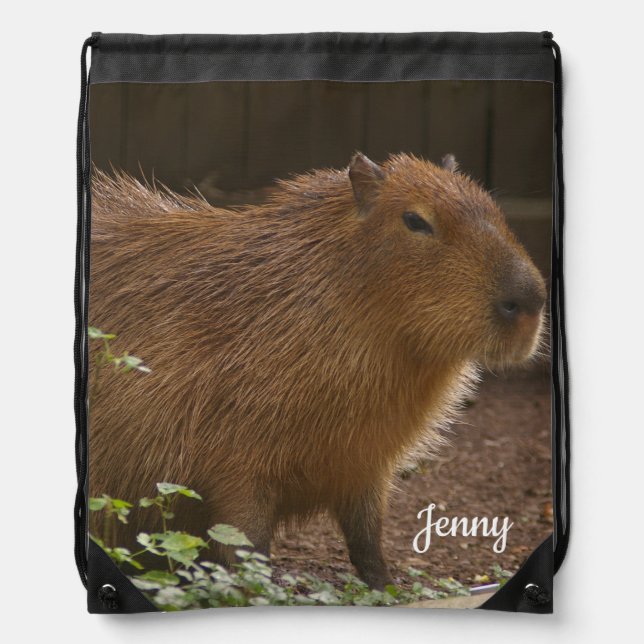 Capybara Drawstring Bag (Front)