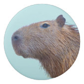 Capybara Eraser (Back)