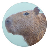 Capybara Eraser (Front)
