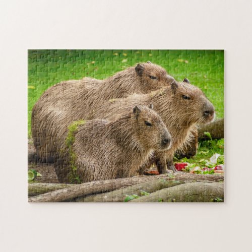 Capybara Family Jigsaw Puzzle