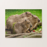 Capybara Family Photo Puzzle at Zazzle