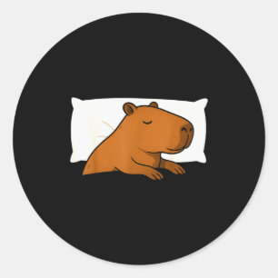Capybara Favorite Sleepshirt Sleeng Pajamas Boys G Classic Round Sticker