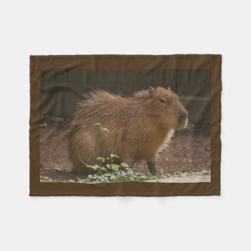 Personalized Capybara Gifts on Zazzle