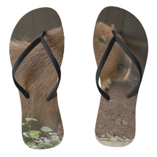 Capybara Flip Flops