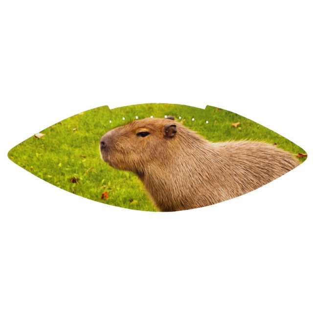 Capybara Football (Panel)