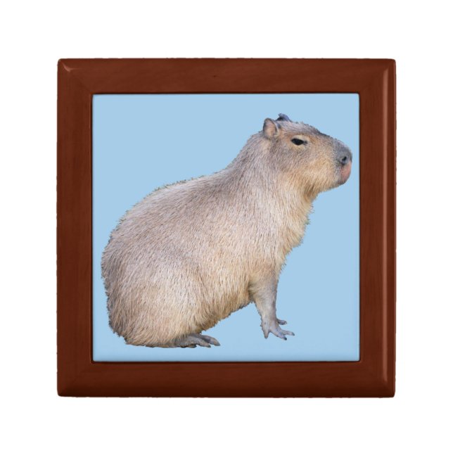 Capybara Gift Box (Front)