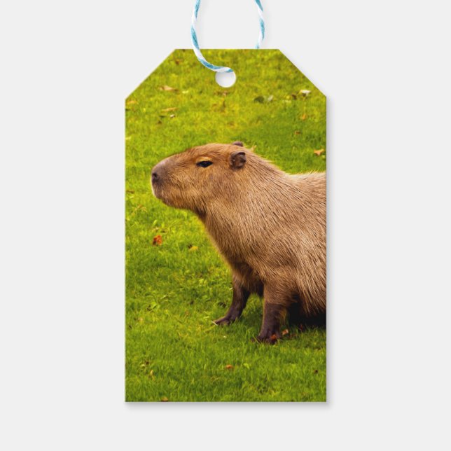 Capybara Gift Tags (Front)