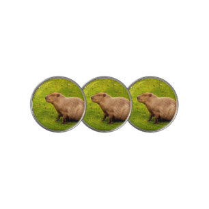 Capybara Golf Ball Marker