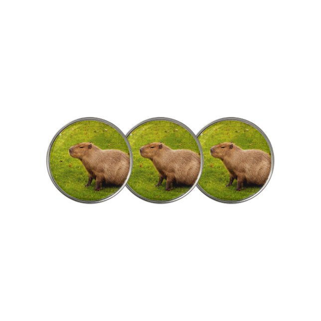 Capybara Golf Ball Marker (3 Up)