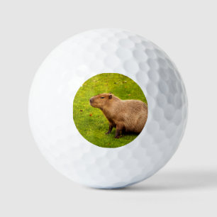 Capybara Golf Balls