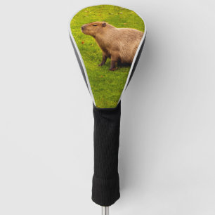 Capybara Golf Head Cover