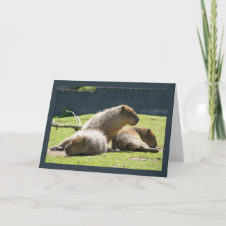 Capybara Greeting Card - Capy Birthday