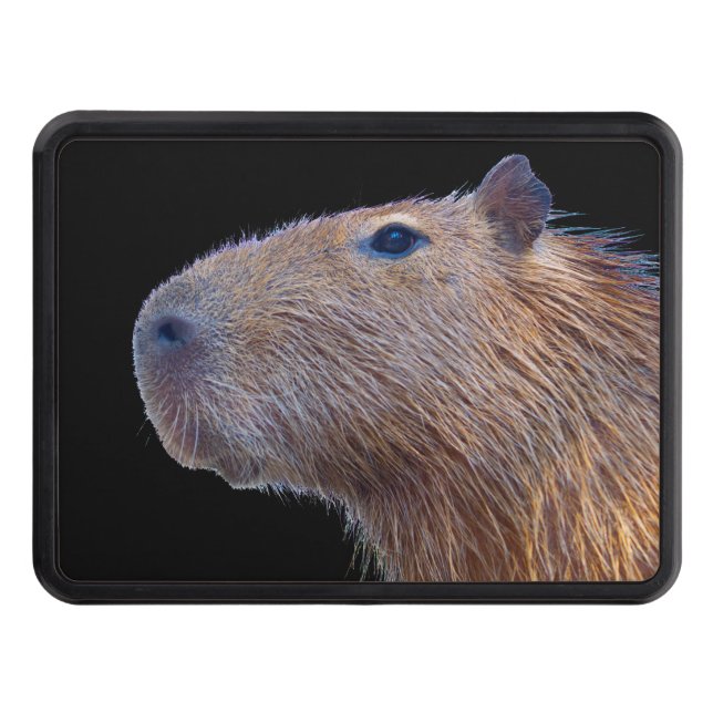Capybara Hitch Cover (Front)
