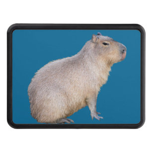 Capybara Hitch Cover