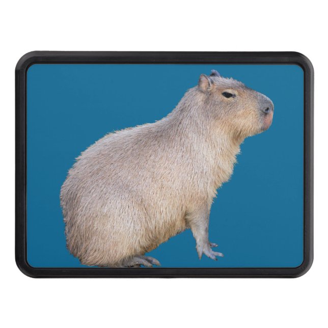 Capybara Hitch Cover (Front)