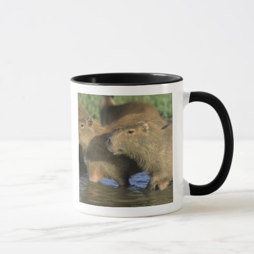 Capybara Hydrochaeris hydrochaeris worlds Mug