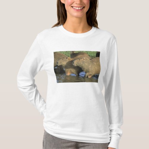 Capybara Hydrochaeris hydrochaeris worlds T_Shirt