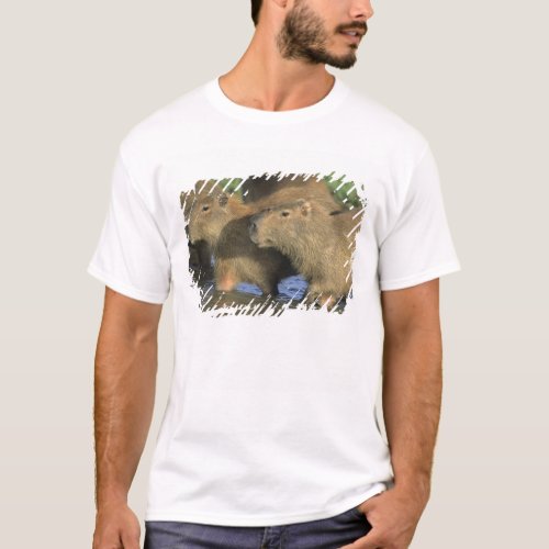 Capybara Hydrochaeris hydrochaeris worlds T_Shirt