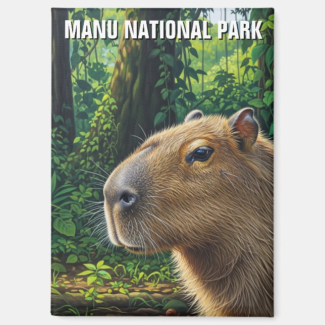 Capybara in Manu National Park Peru Magnet (Front)