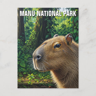 Capybara in Manu National Park Peru Postcard