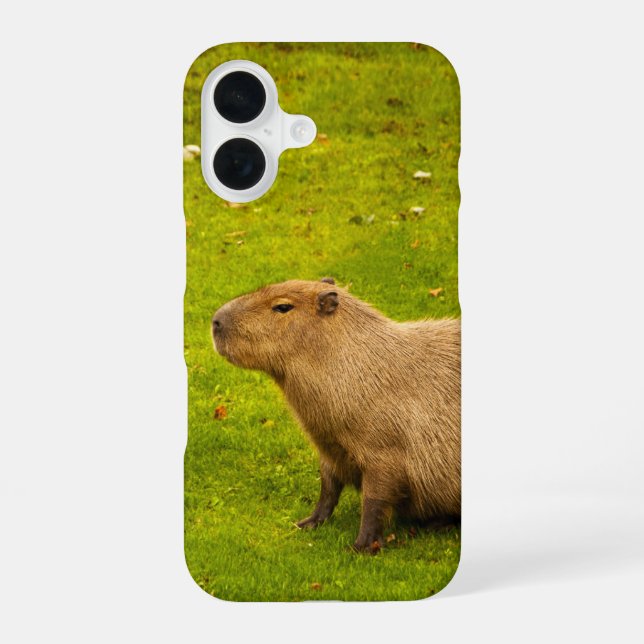 Capybara iPhone Case (Back)
