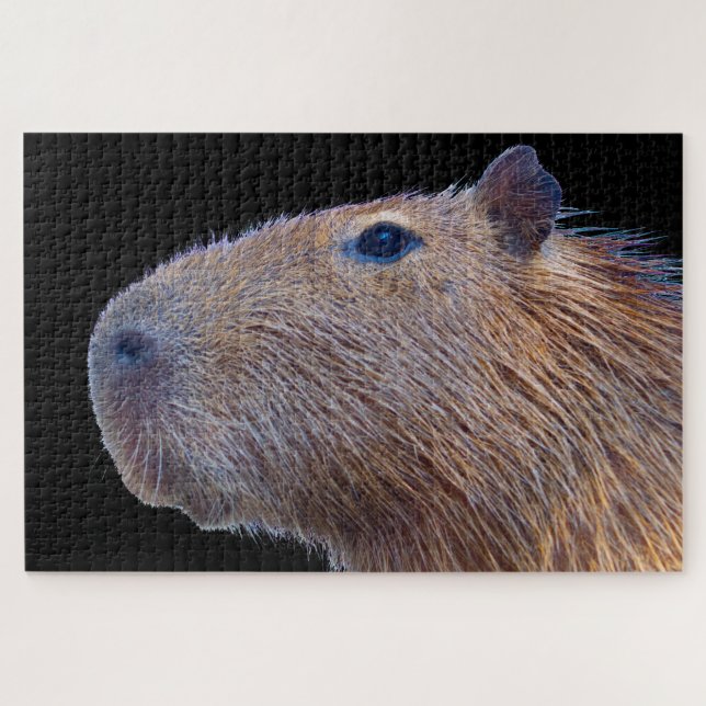 Capybara Jigsaw Puzzle (Horizontal)