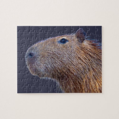 Capybara Jigsaw Puzzle