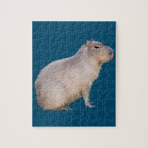 Capybara Jigsaw Puzzle