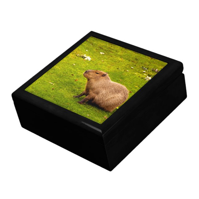Capybara Keepsake Box (Side)