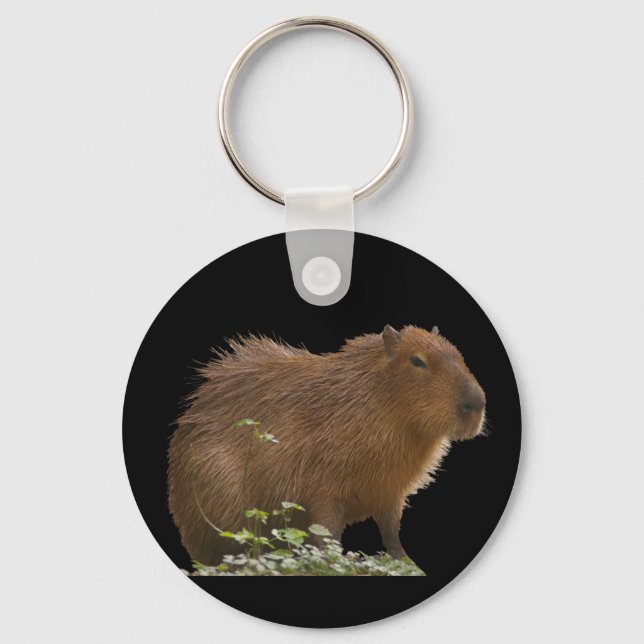 Capybara Keychain (Front)