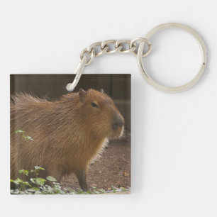 Capybara Keychain