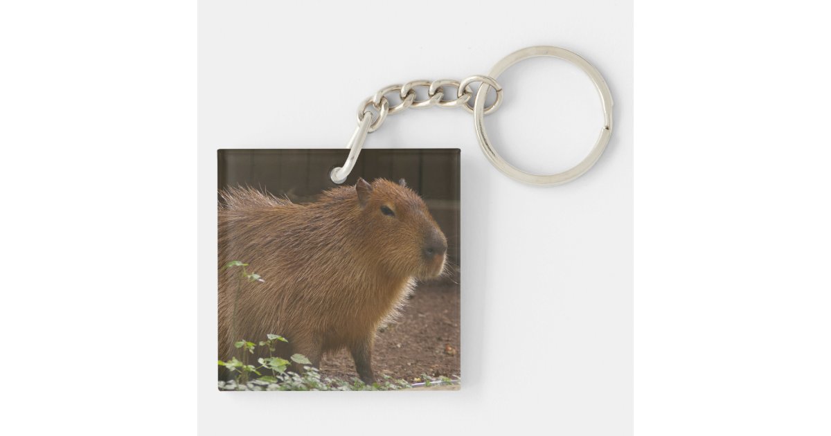 Wooden Double Sided Capybara Keychain 
