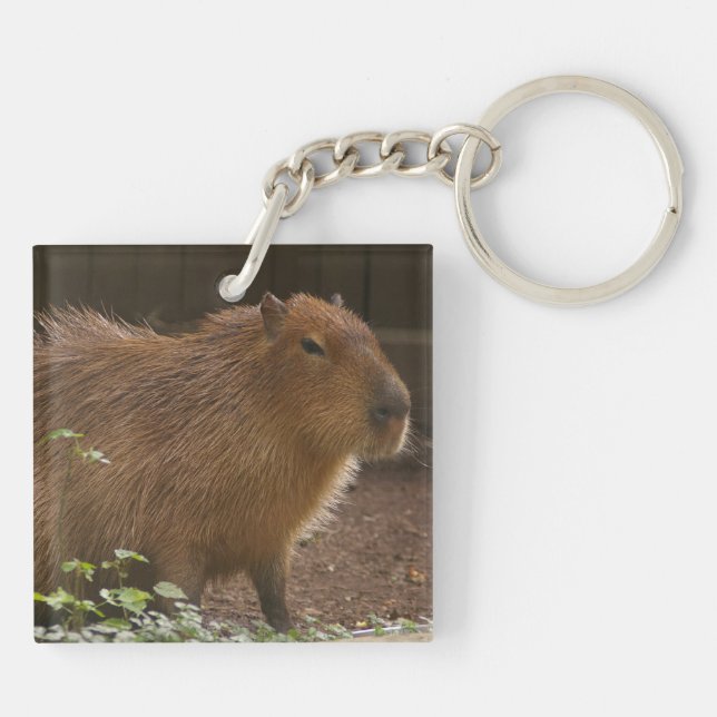 Capybara Keychain (Back)