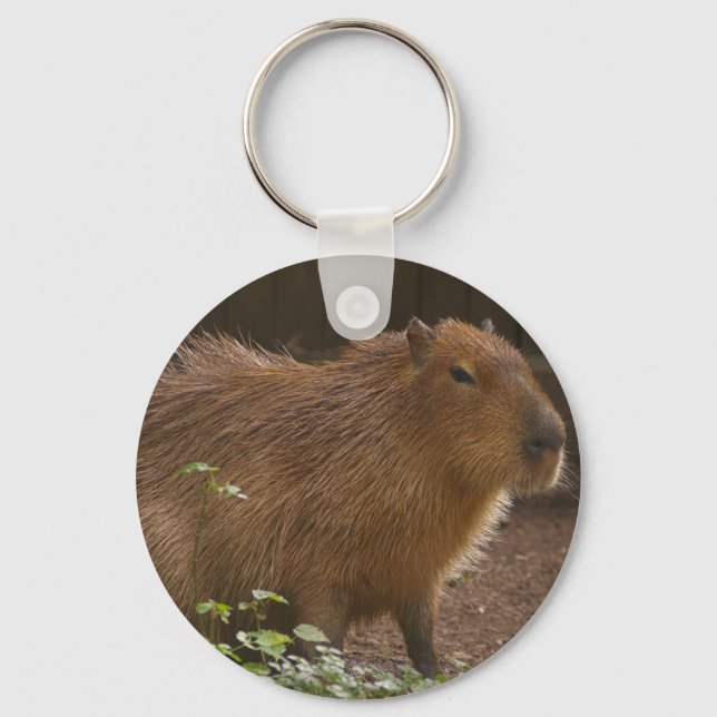 Capybara Keychain (Front)