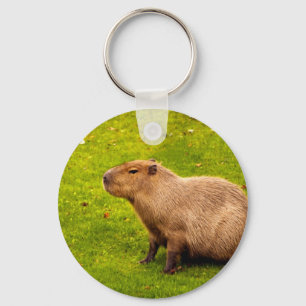 Capybara Keychain