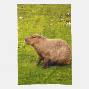Capybara Kitchen Towel