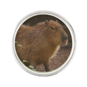 Capybara Lapel Pin