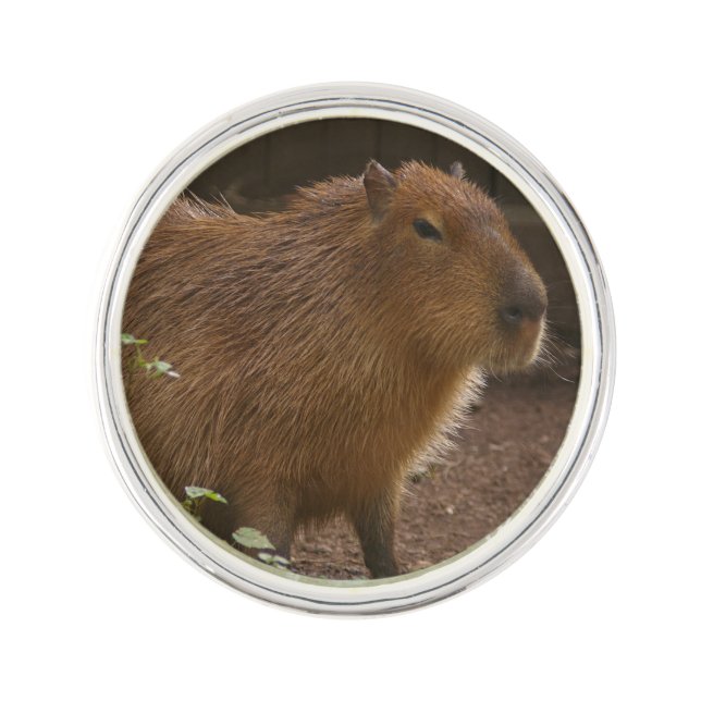 Capybara Lapel Pin (Front)