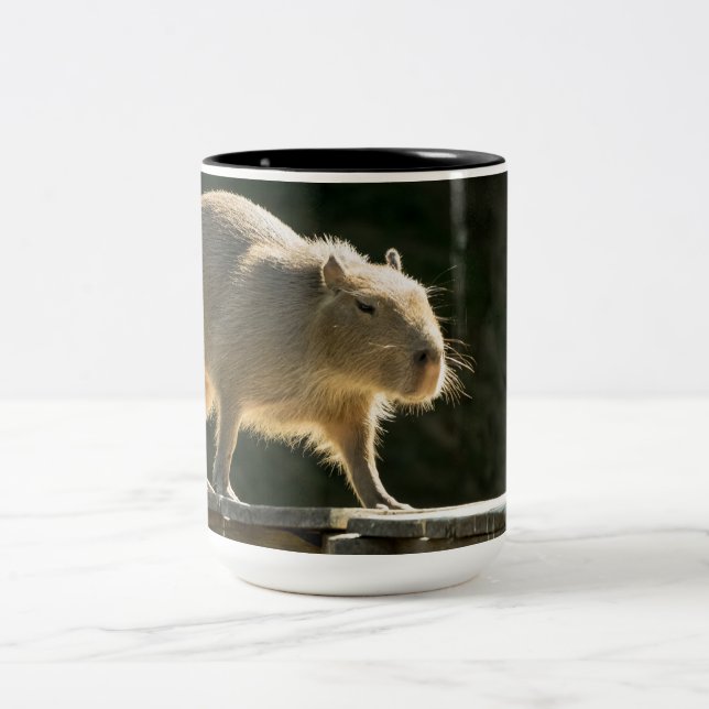Capybara Large Mug (Center)
