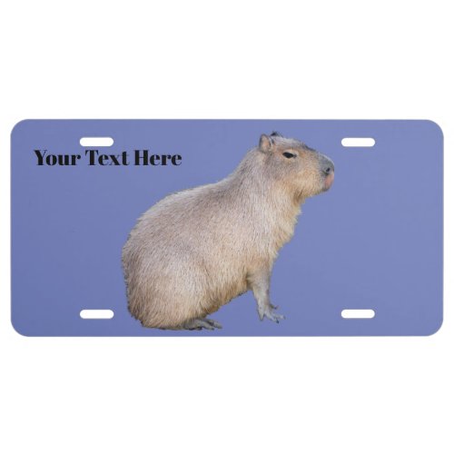 Capybara License Plate