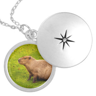 Capybara Locket Necklace