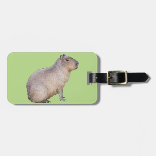 Capybara Luggage Tag