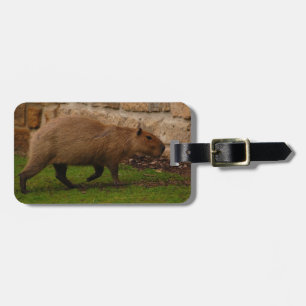 capybara luggage tag