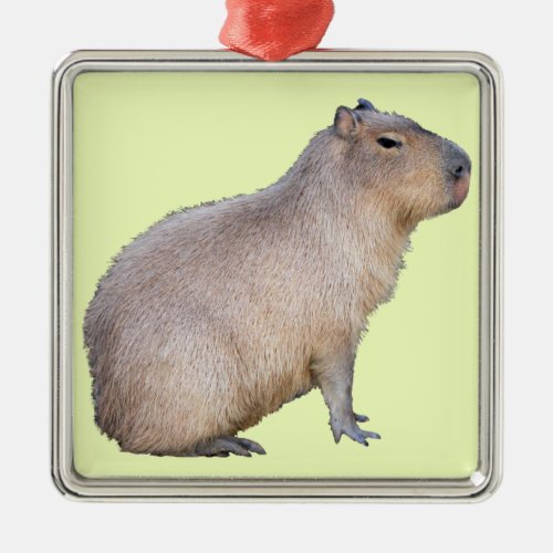 Capybara Metal Ornament