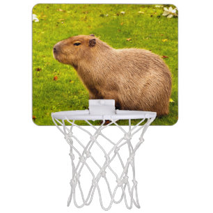 Capybara Mini Basketball Hoop