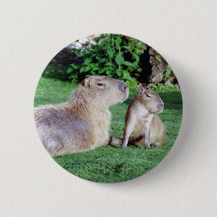 Capybara Mom and Son Button