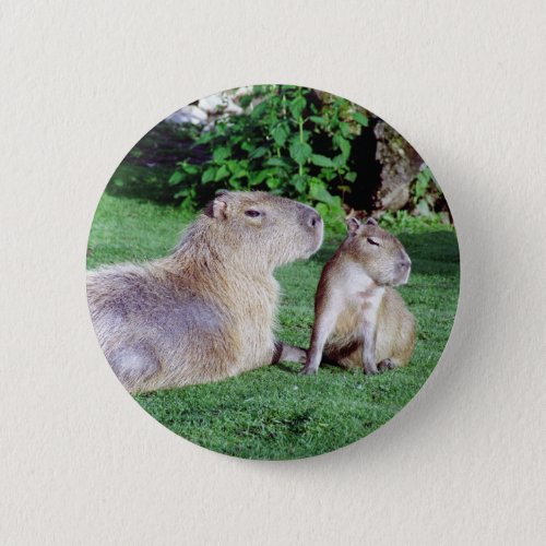 Capybara Mom and Son Button